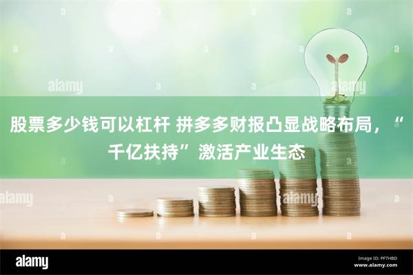 股票多少钱可以杠杆 拼多多财报凸显战略布局，“千亿扶持” 激活产业生态