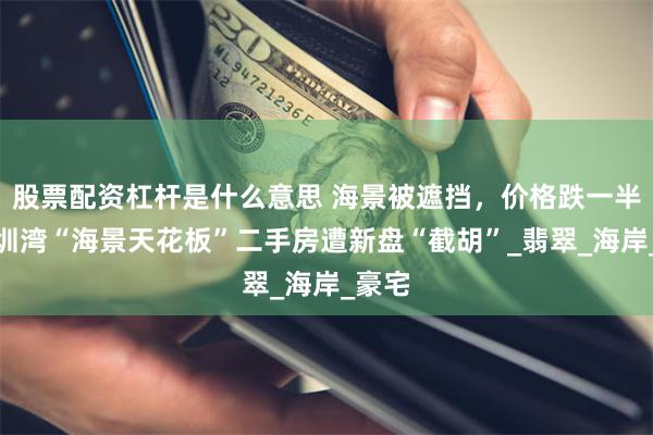 股票配资杠杆是什么意思 海景被遮挡，价格跌一半？深圳湾“海景天花板”二手房遭新盘“截胡”_翡翠_海岸_豪宅