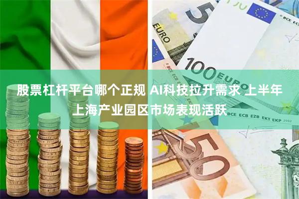 股票杠杆平台哪个正规 AI科技拉升需求 上半年上海产业园区市场表现活跃