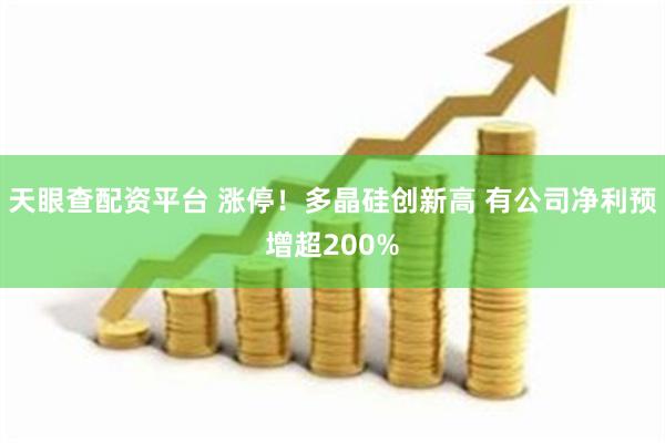 天眼查配资平台 涨停！多晶硅创新高 有公司净利预增超200%