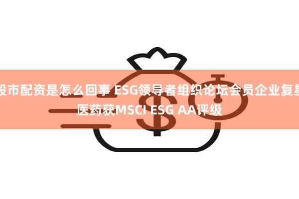 股市配资是怎么回事 ESG领导者组织论坛会员企业复星医药获MSCI ESG AA评级
