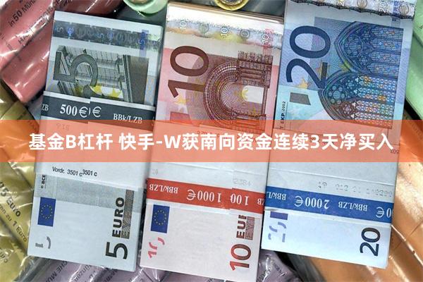 基金B杠杆 快手-W获南向资金连续3天净买入